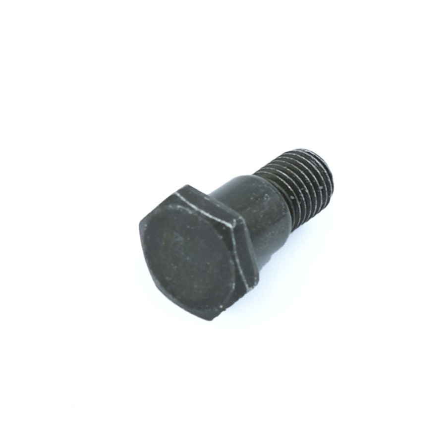 Tornillo pata cabra 10mm - Motosapollo.com