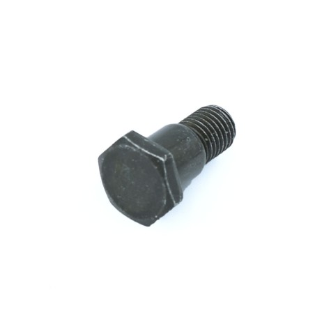 Tornillo pata cabra 10mm - Motosapollo.com