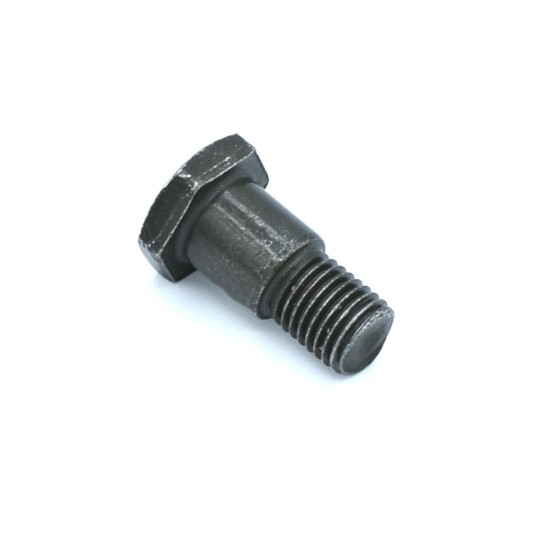 Tornillo pata cabra 10mm - Motosapollo.com 2