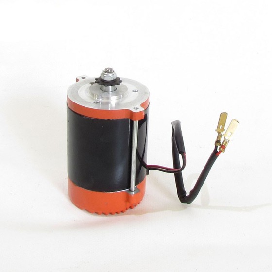 Motor electrico brushless 300W - Motosapollo.com 2