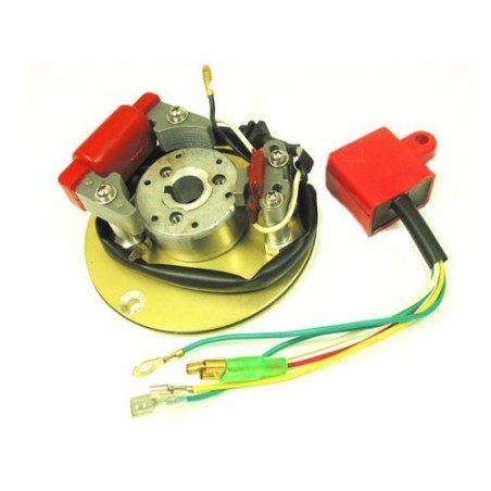 Rotor VR2 competicion 125cc - 1