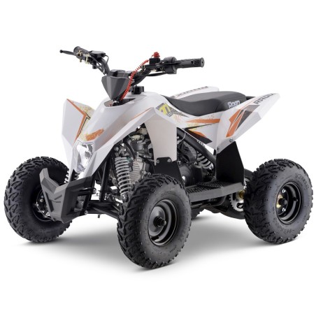 Miniquad 90cc ROAN Radix r6 - 17