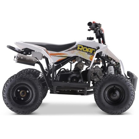 Miniquad 90cc ROAN Radix r6 - 22