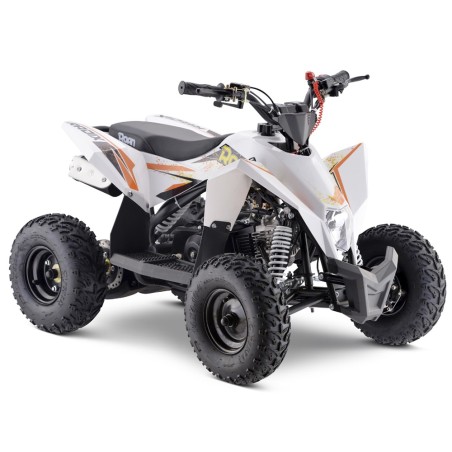 Miniquad 90cc ROAN Radix r6 - 23