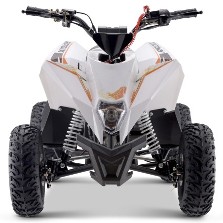 Miniquad 90cc ROAN Radix r6 - 24