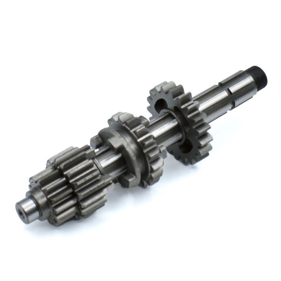 Kit piñón caja de cambios primario pit bike ZS 155cc - Motosapollo.com