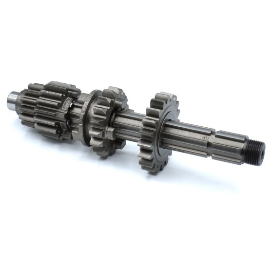 Kit piñón caja de cambios primario pit bike ZS 155cc - Motosapollo.com 2