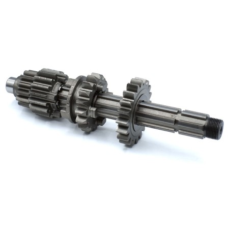 Kit piñón caja de cambios primario pit bike ZS 155cc - Motosapollo.com