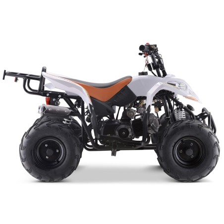 Mini Quad 110cc ROAN Predator PRO - 3