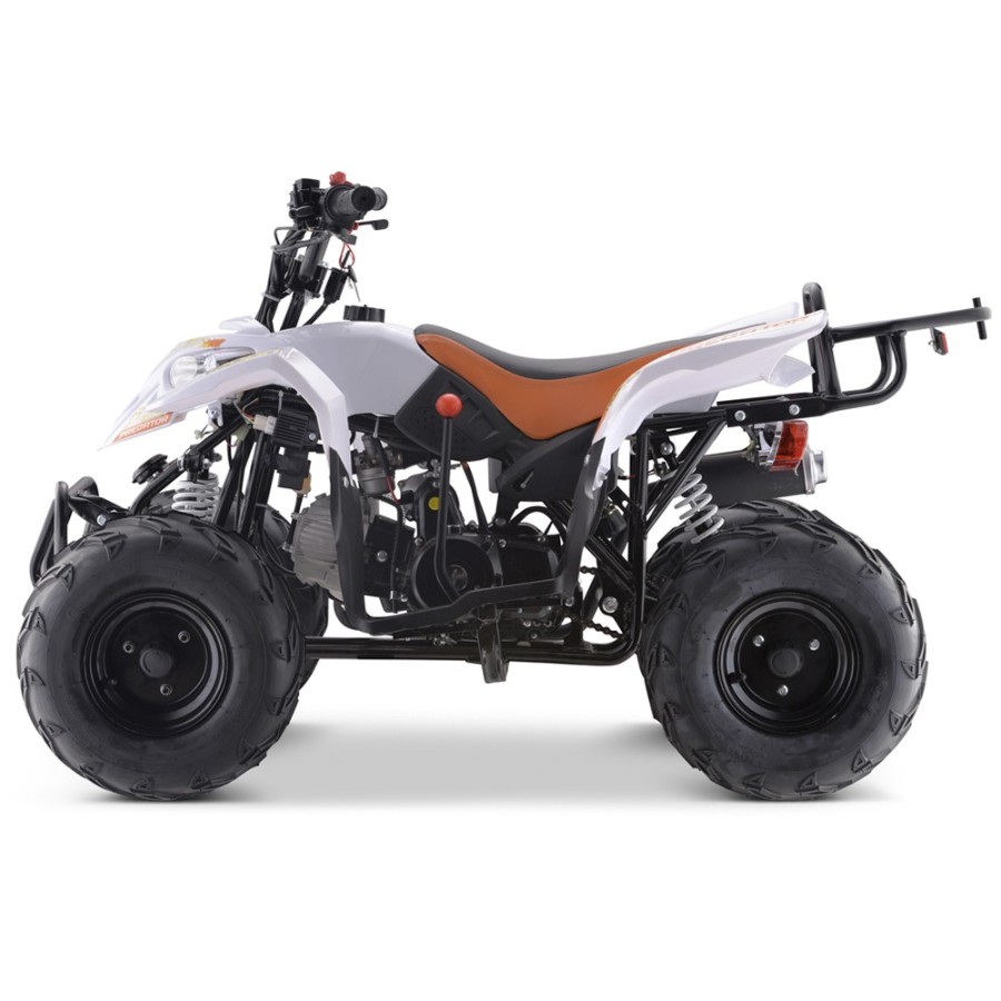 Mini Quad 110cc ROAN Predator PRO - 6