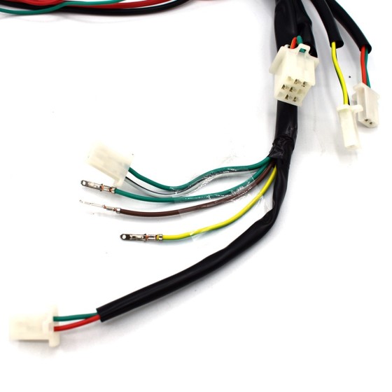 Cableado eléctrico quad motor 4 tiempos - Motosapollo.com 2