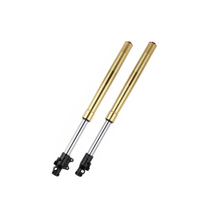 Juego horquilla invertida pit bike 590mm - Motosapollo.com