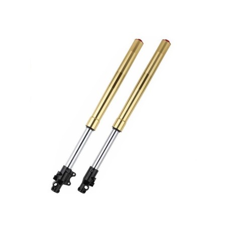 Juego horquilla invertida pit bike 590mm - Motosapollo.com