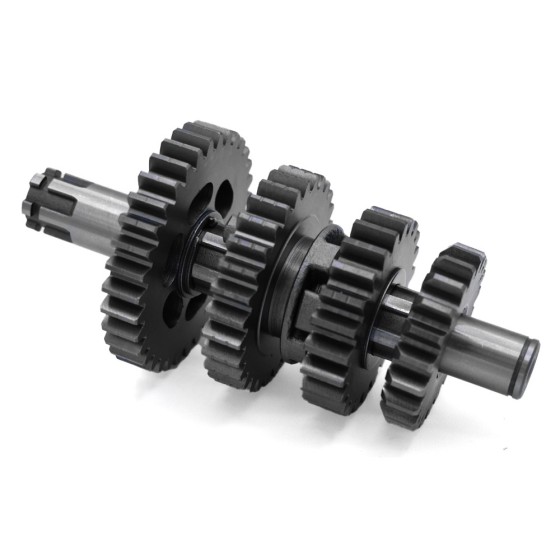 Kit piñón caja de cambio pit bike 125cc - Motosapollo.com 2