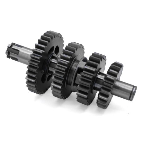 Kit piñón caja de cambio pit bike 125cc - Motosapollo.com