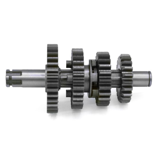 Kit piñón caja cambio pit bike 155cc motor ZS - Motosapollo.com 2