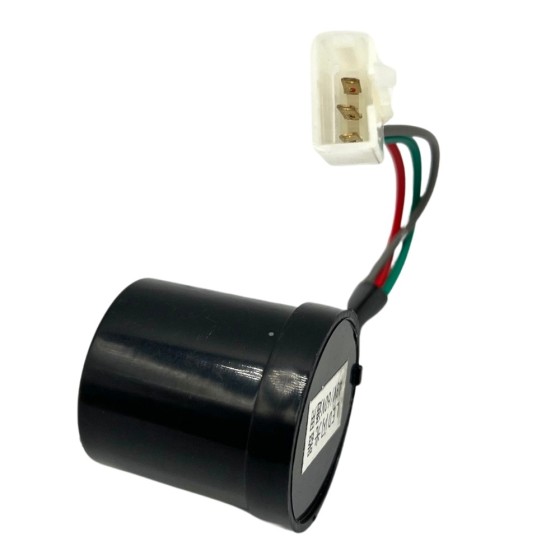 Regulador intermitente 3Pin 48/60V 2