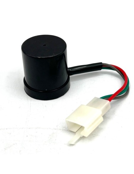 Regulador intermitente 3Pin 48/60V