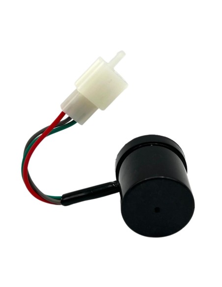 Regulador intermitente 3Pin 48/60V