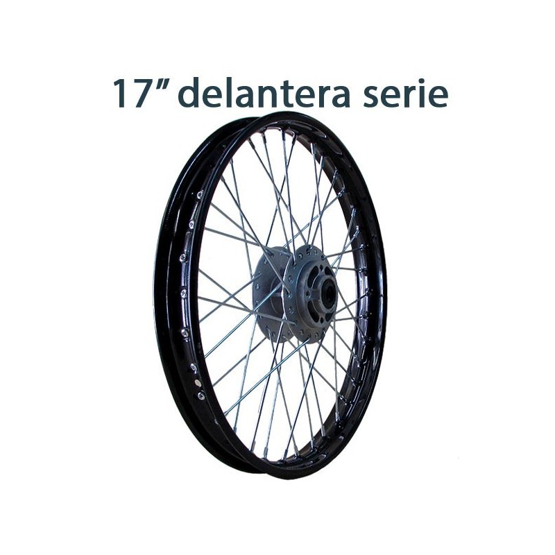 Llanta 17 delantera pit bike serie - 1
