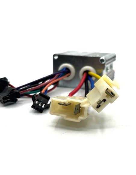 Centralita 150/200W 24V (11+4pin) - Motosapollo