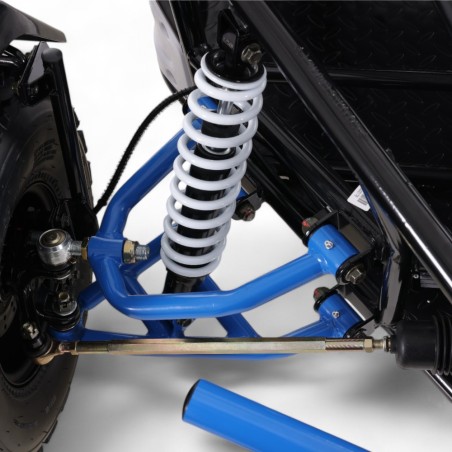 Buggy Roan Triton 200 R8