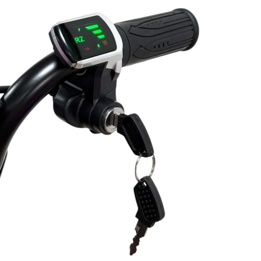 Triciclo eléctrico Rexo 250W 36V litio para niños-motospollo.com