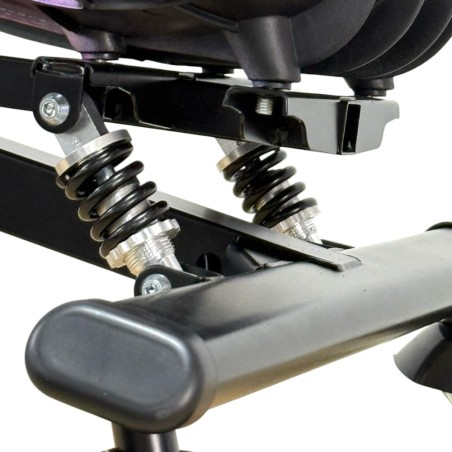 Triciclo eléctrico Rexo 250W 36V litio para niños-motospollo.com