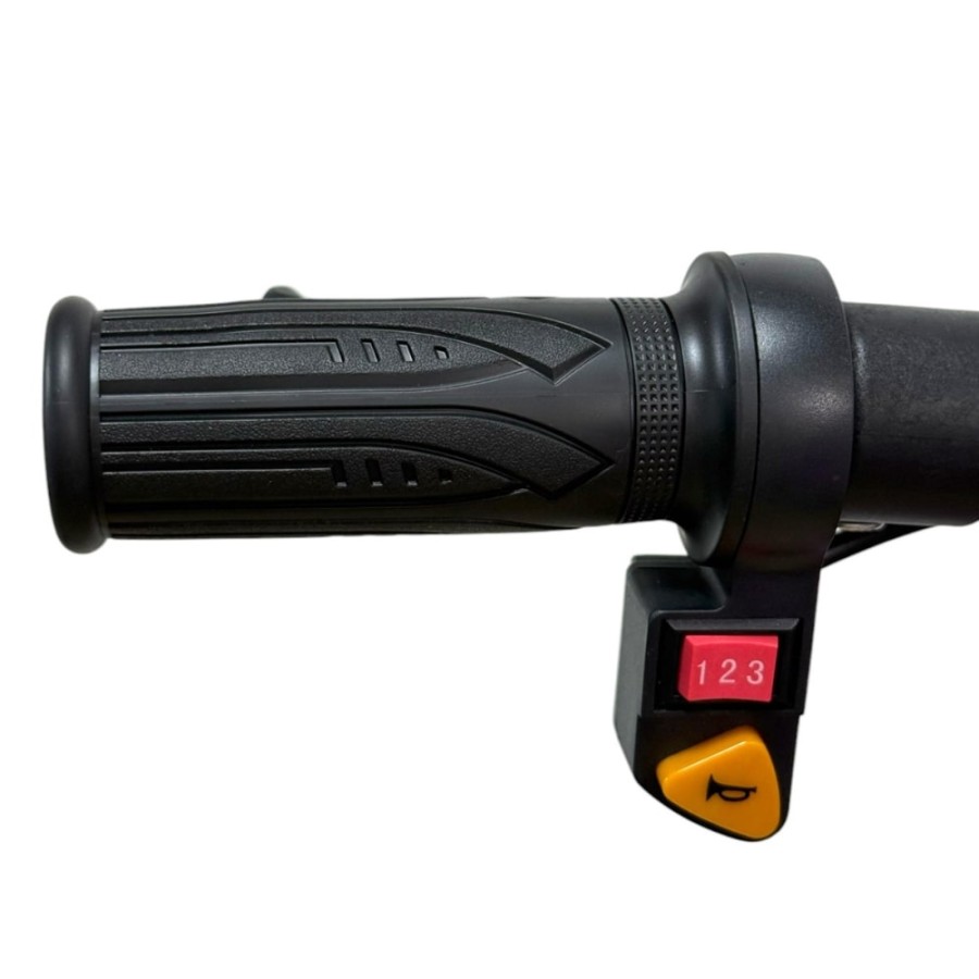 Triciclo eléctrico Rexo 250W 36V litio para niños-motospollo.com