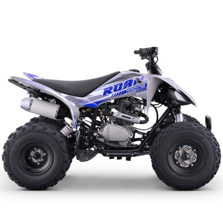 Quad 250cc Roan DAKAR manual R-1-2-3-4 R10 - Motosapollo.com