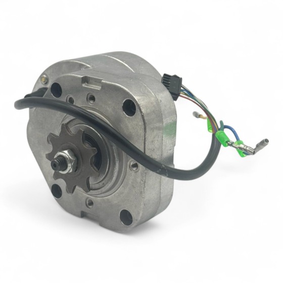 Motor eléctrico 350W 24V SEDNA PRO -motosapollo.com