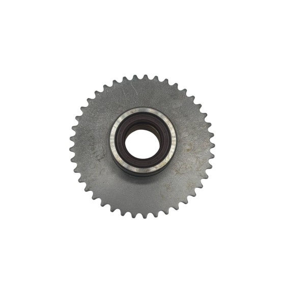 piñón Volante magnético 41t RXF 190CC- motosapollo.com 2
