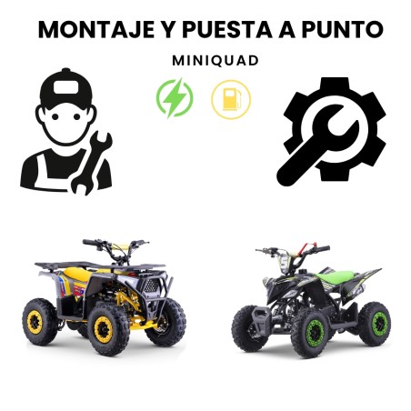 Montaje y puesta a punto pit bikes y quads 4 tiempos - 1