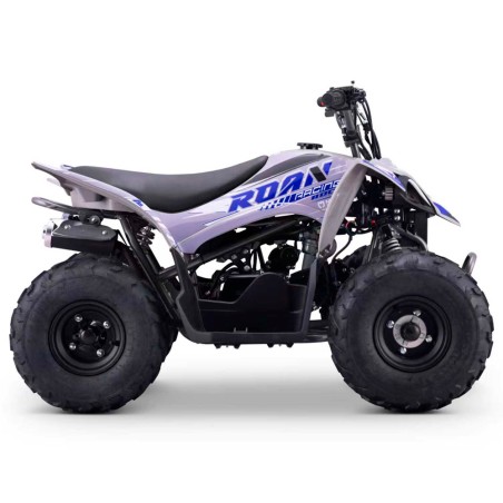 Quad infantil ROAN DAKAR 110cc Automático