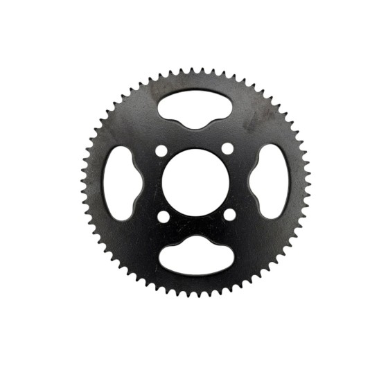 Plato Cadena 219H 48mm 66T Ratte 1300W