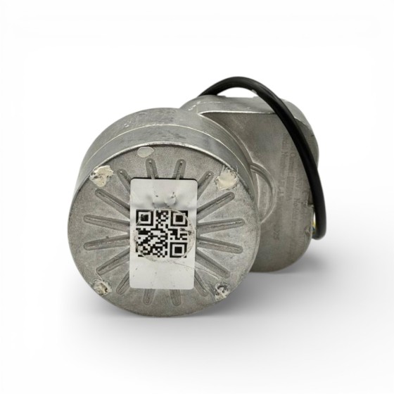 Motor eléctrico 350W 36V Warrior MX-E350 y SX-E350 2