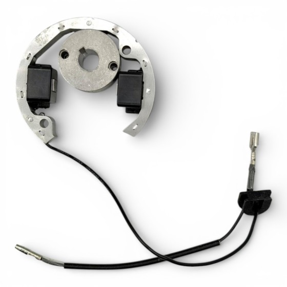 Encendido pit bike R50 - Motosapollo.com 2