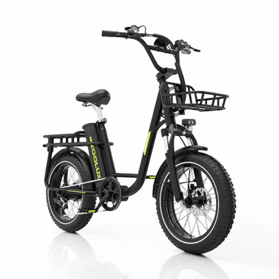 Bicicleta eléctrica KOOLUX X7 250W 48V 25Ah 20” fat bike 2