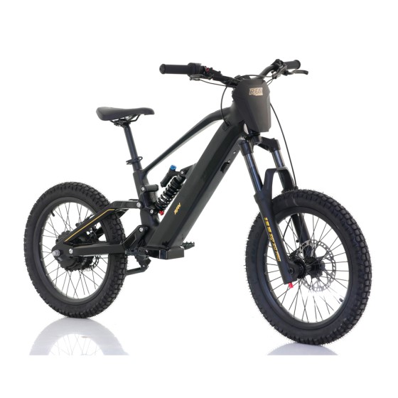 Bicicleta Eléctrica RFN ZIP PRO 20” 1000W 48V - motosapollo.com 2