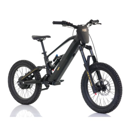Bicicleta Eléctrica RFN ZIP PRO 20” 1000W 48V - motosapollo.com