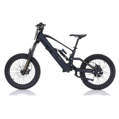Bicicleta Eléctrica RFN ZIP PRO 20” 1000W 48V - motosapollo.com