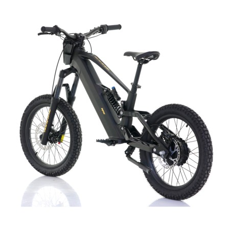 Bicicleta Eléctrica RFN ZIP PRO 20” 1000W 48V - motosapollo.com