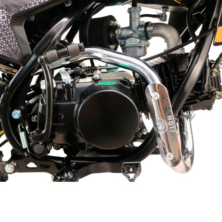 Pit Bike Dorado DMX 140cc 17/14" 4T Refrigeración por Aceite - MOTOSAPOLLO.COM