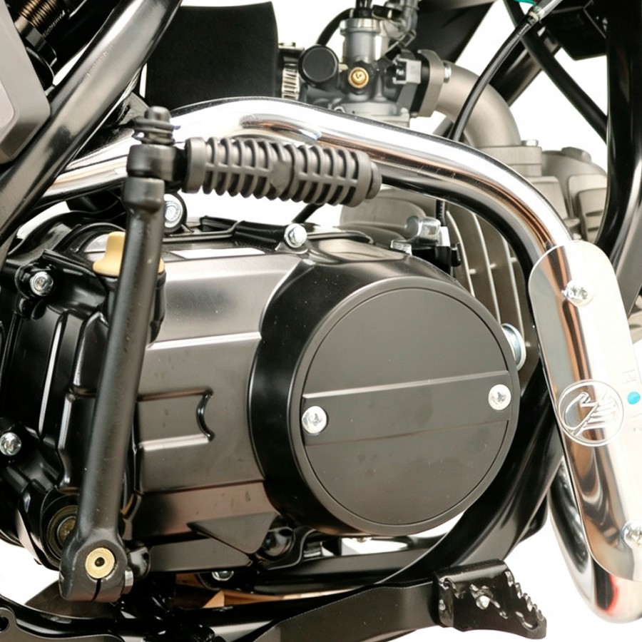 Pit Bike Dorado DMX 125cc 1714 4T Manual - Motosapollo.com