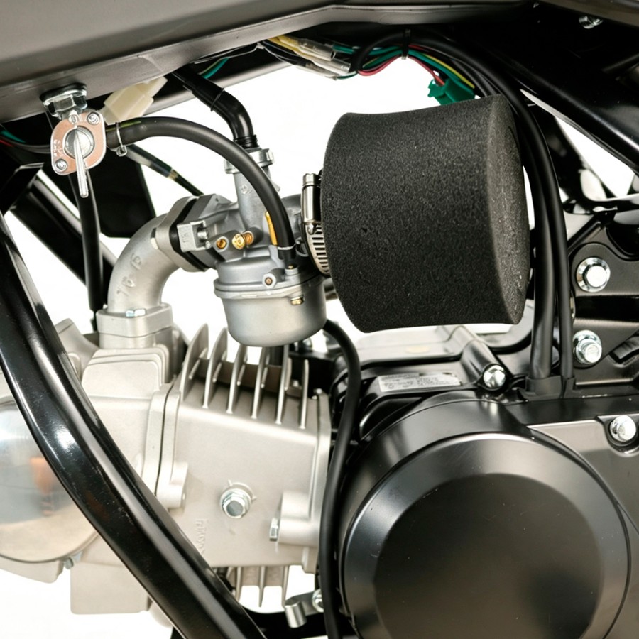 Pit Bike Dorado DMX 125cc 1714 4T Manual - Motosapollo.com