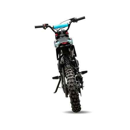 Pit Bike Dorado DMX 110cc 14/12" Automática