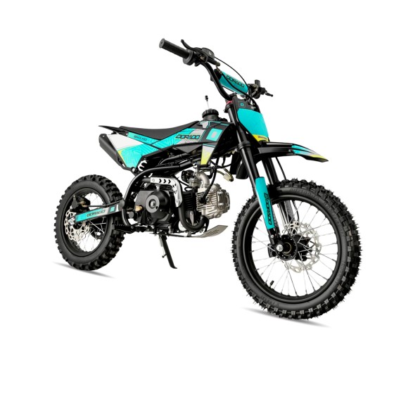 Pit Bike Dorado DMX 110cc 14/12" Automática 2