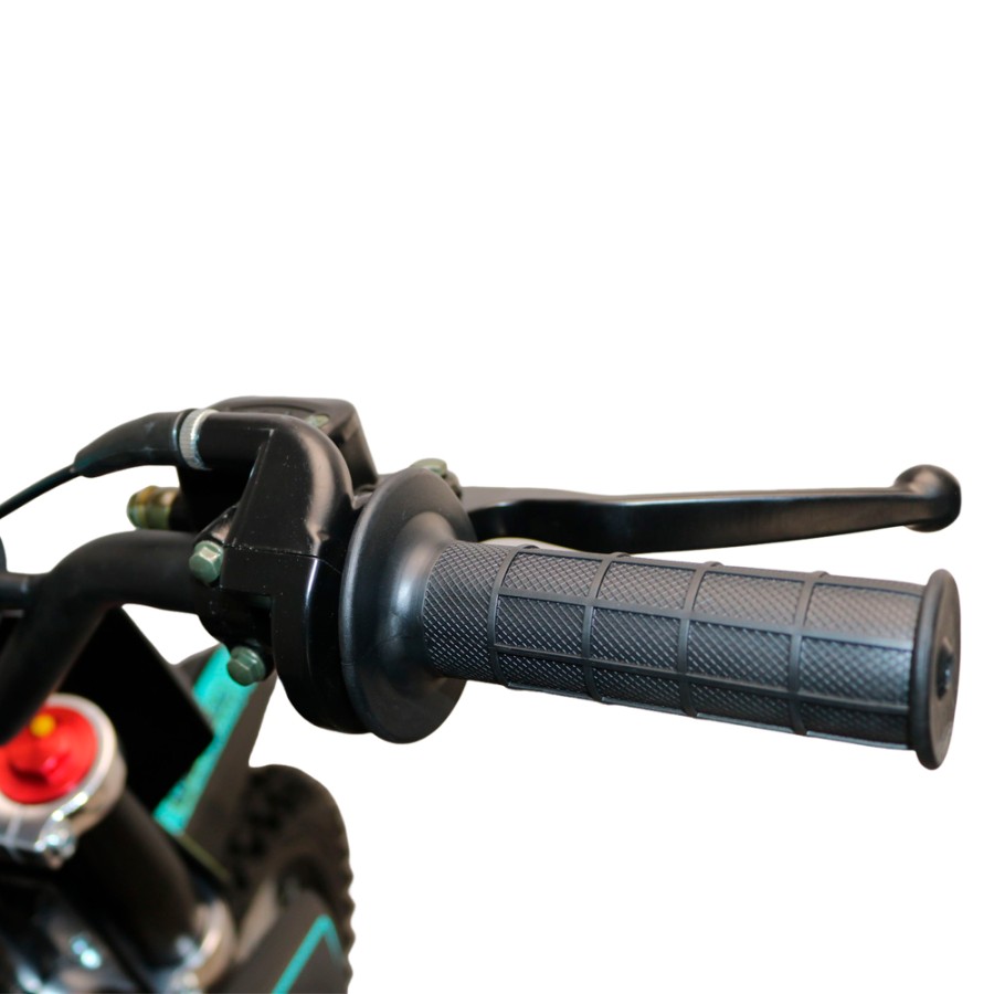 Pit Bike Dorado DMX 125cc 1714 4T Manual - Motosapollo.com