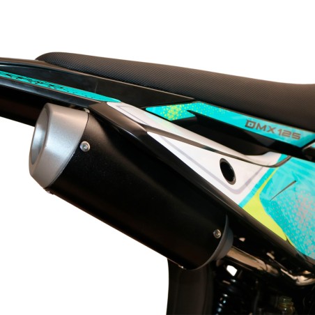 Pit Bike Dorado DMX 125cc 1714 4T Manual - Motosapollo.com