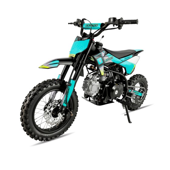 Pit Bike Dorado DMX 90cc 4T 12/10" Automática - motosapollo.com 2